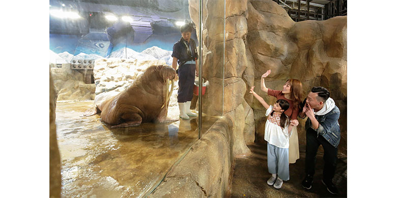 Bandeng Teriyaki, Sajian Mantap dan Nikmat untuk Berbuka Puasa