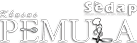sedap-pemuda.png
