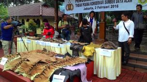 02022016 -Pemusnahan organ satwa liar hasil kejahatan